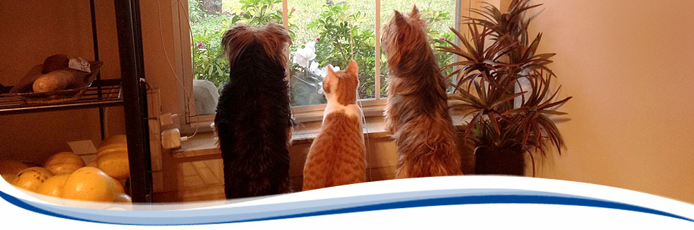 Caregiver and senior patient enjoying quality time at home